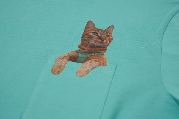 Teal Peeping Nala Unisex T-shirt - Image 3
