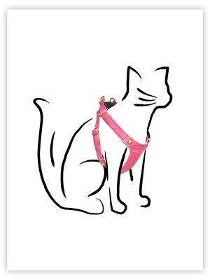 Nala's Harness