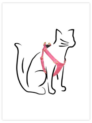 Nala's Harness