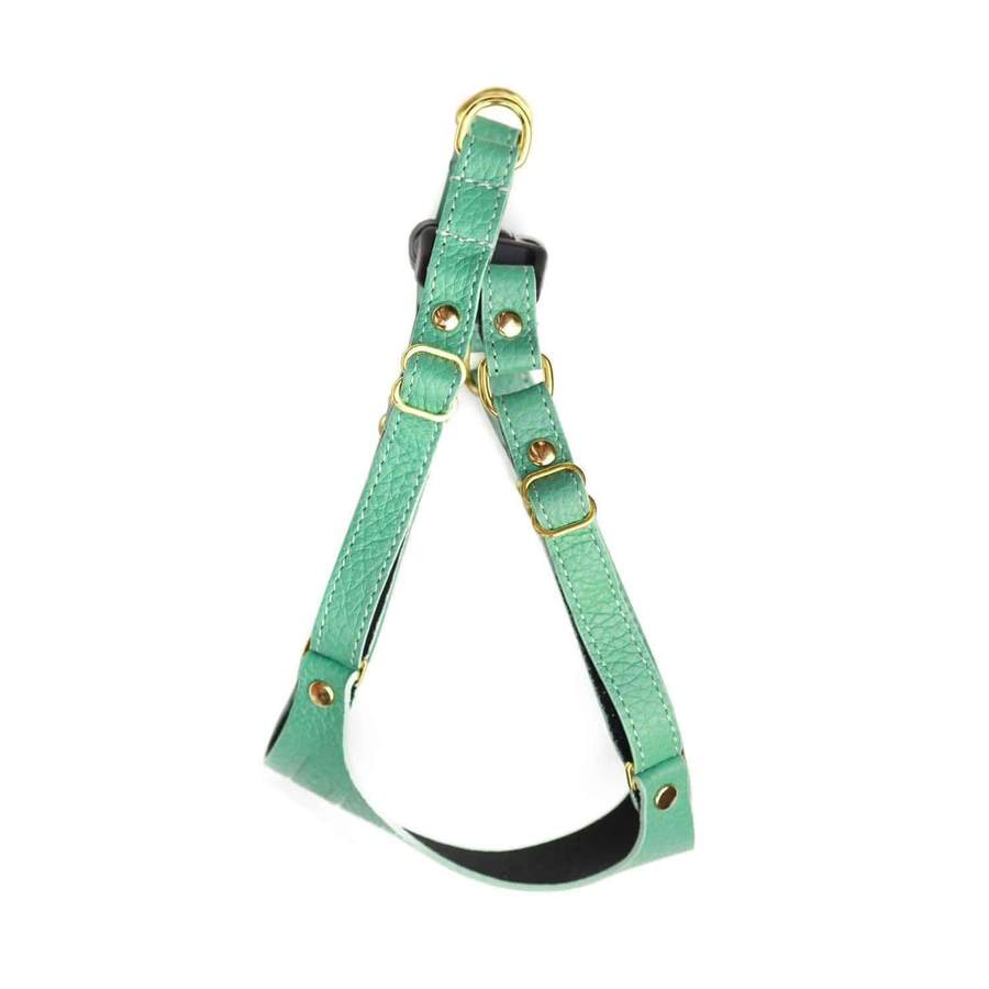 Nala's Harness - Image 3