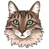 Cats-of-Abruzzo.webp