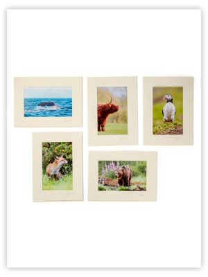 Dean's Wildlife Photography Prints